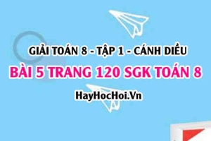 Giải bài 5 trang 120 Toán 8 Tập 1 SGK Cánh Diều